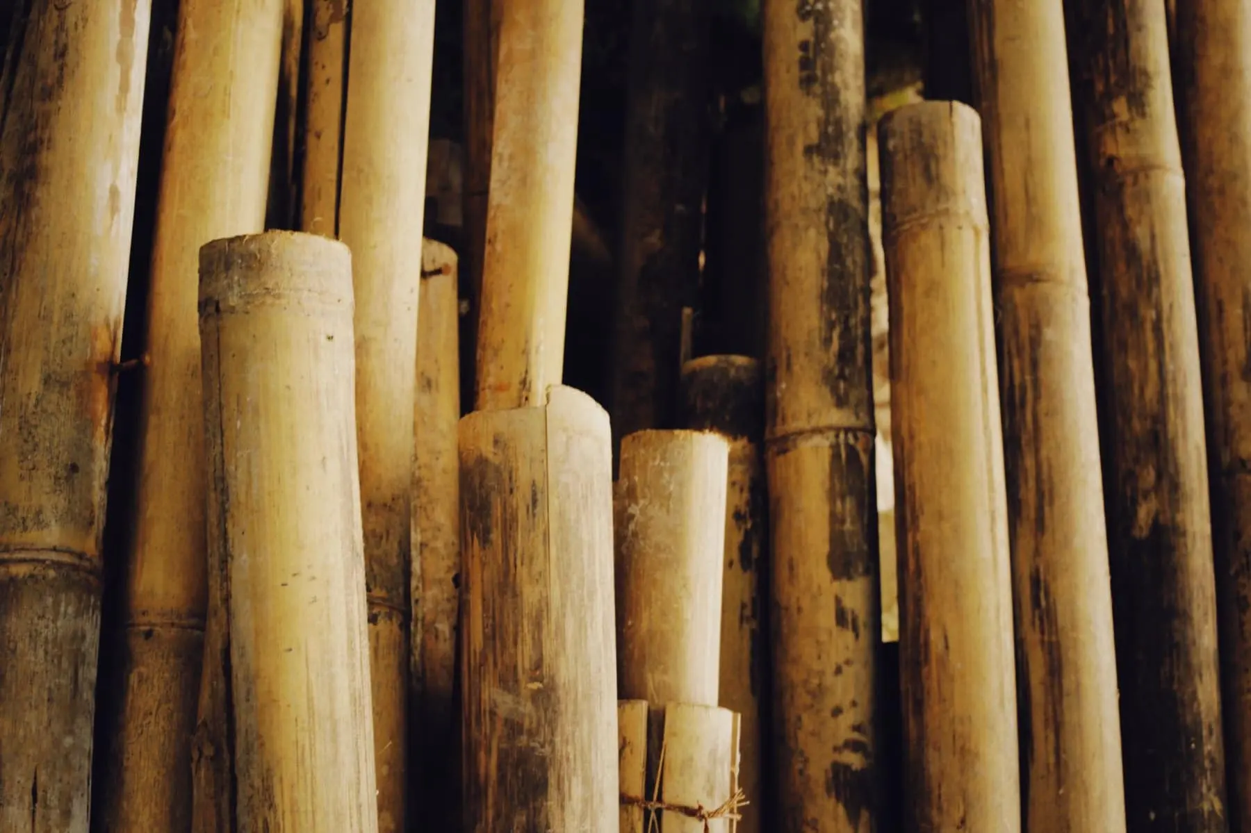 Stacked natural bamboo poles ready for supply