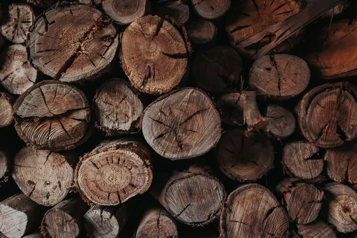 Cut poles stacked and sorted by size